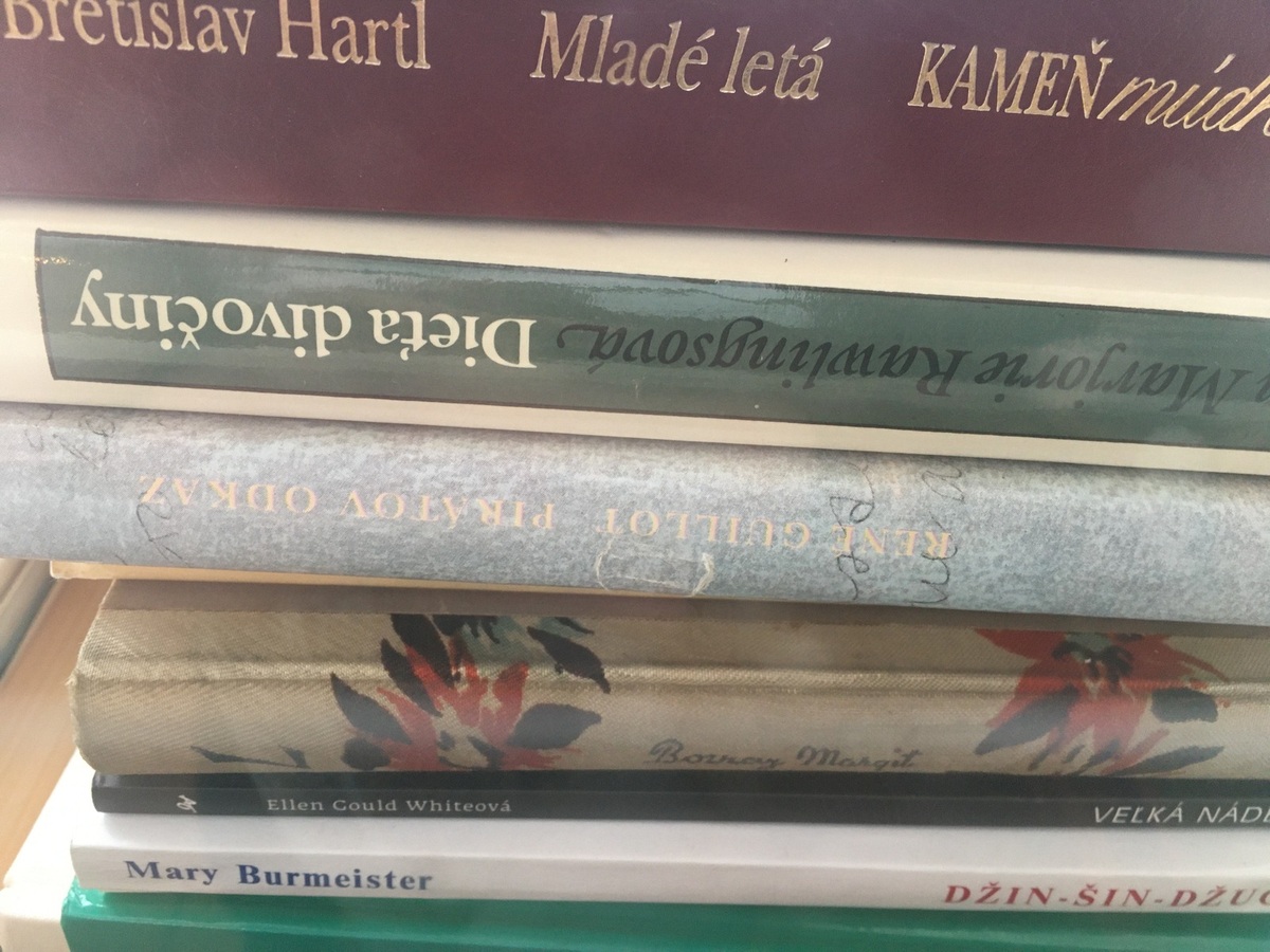 Brigády a študentská práca na Slovensku: limity, povolenia a poistenie