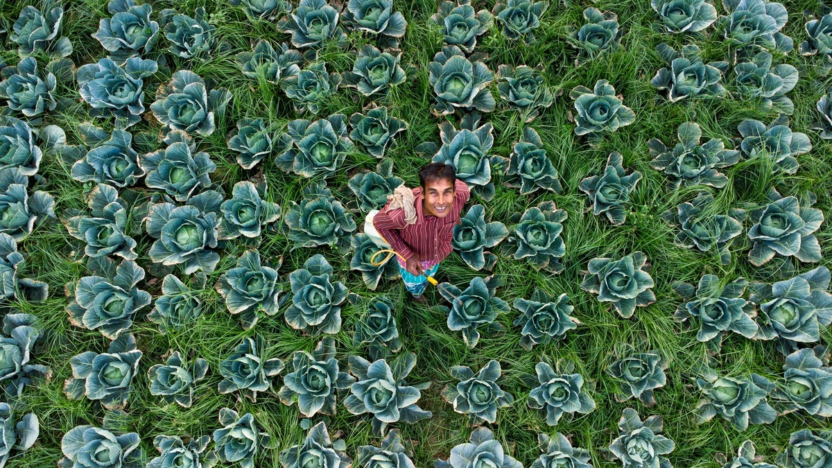 Ako správne navrhnúť efektívny nákupný košík pre vyššie konverzie