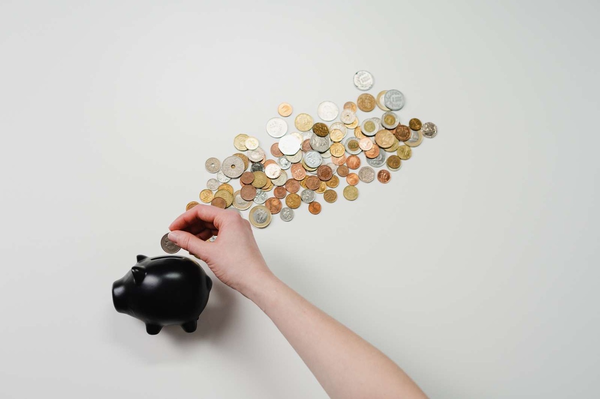 Prehľad financovania podniku: zdroje a ich členenie